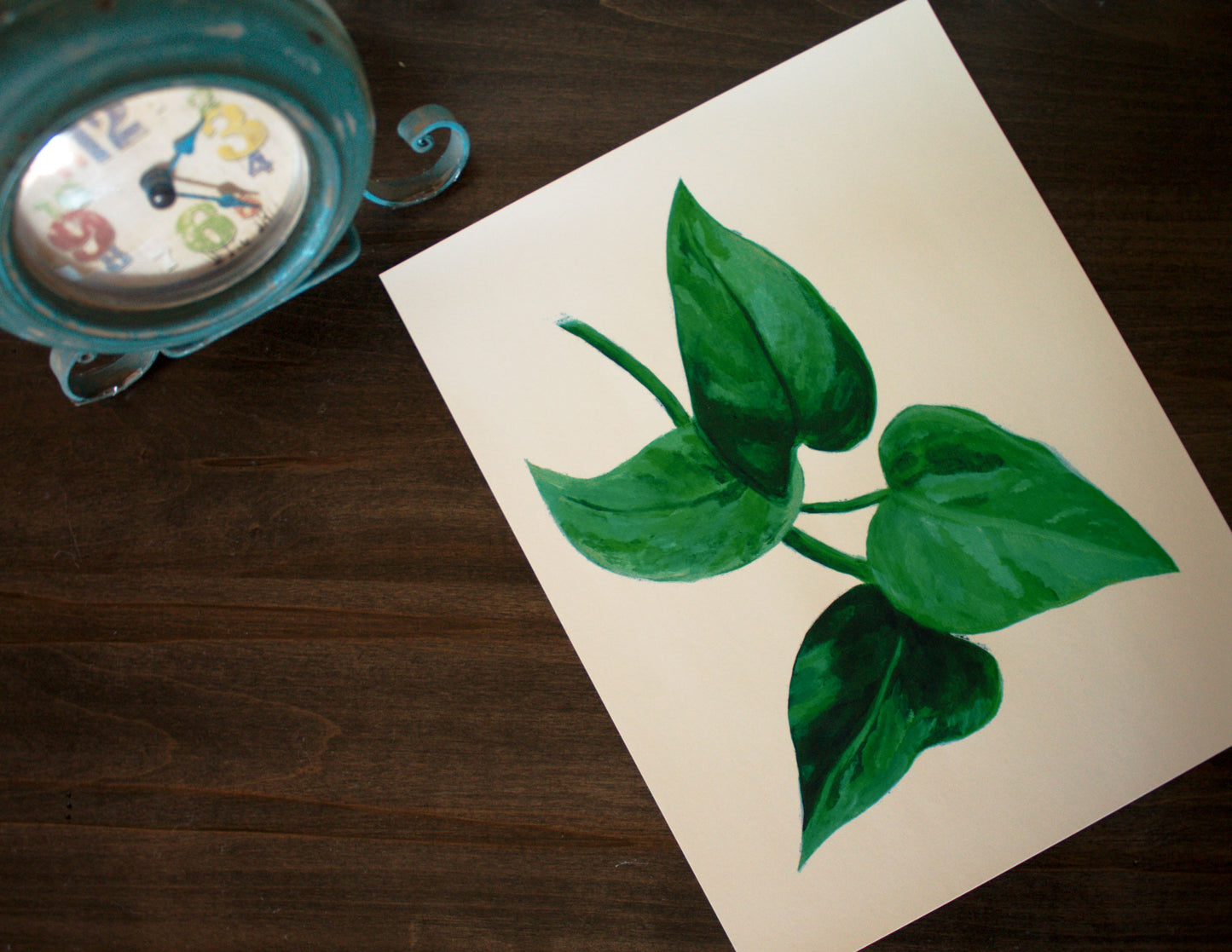 Marble Queen Pothos