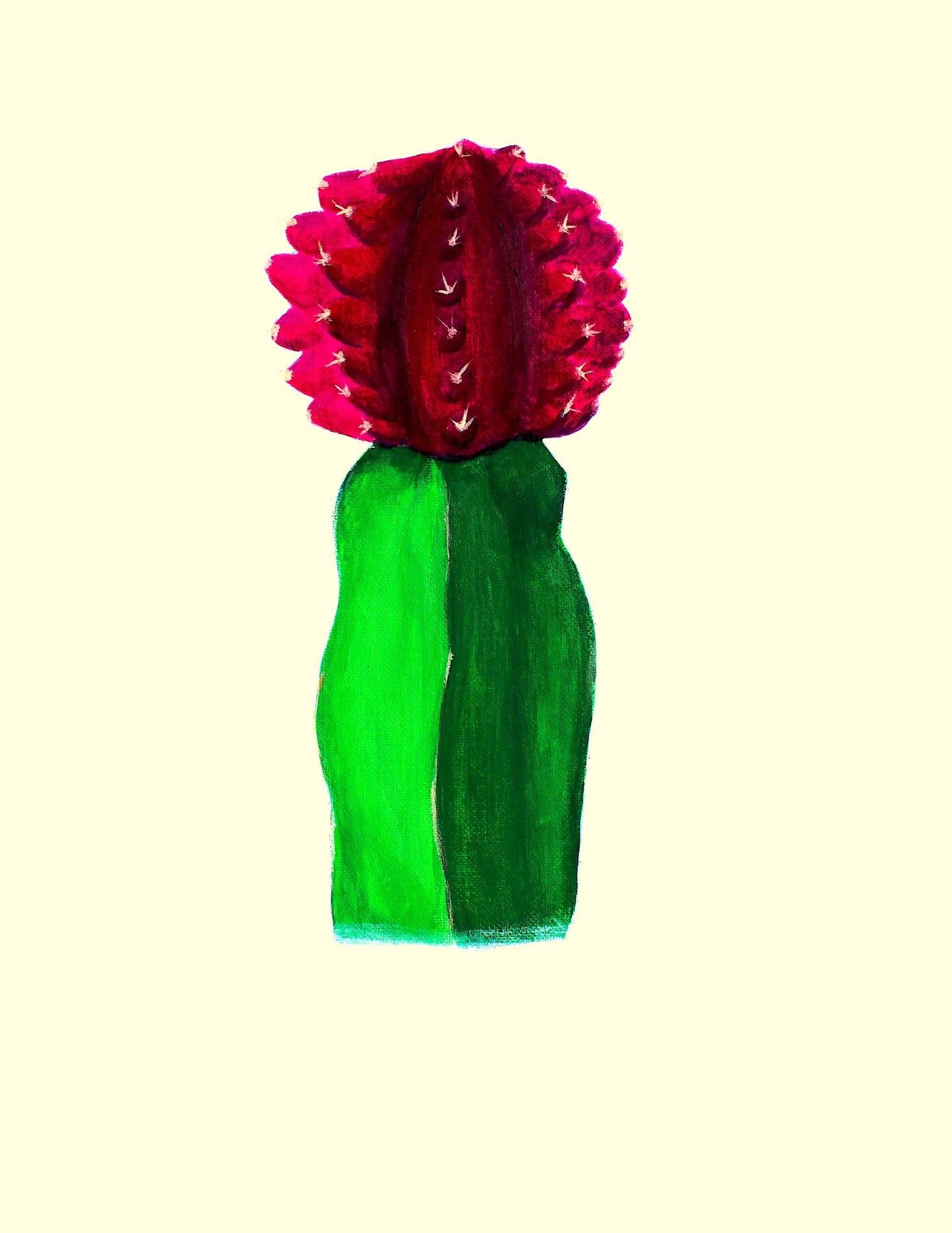 Moon Cactus
