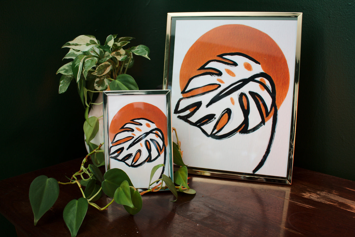 Golden Monstera #3