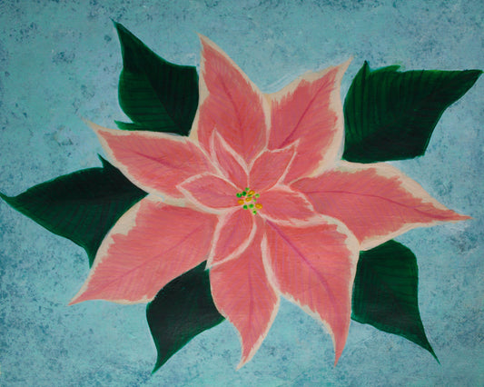 Peterstar Marble Poinsettia