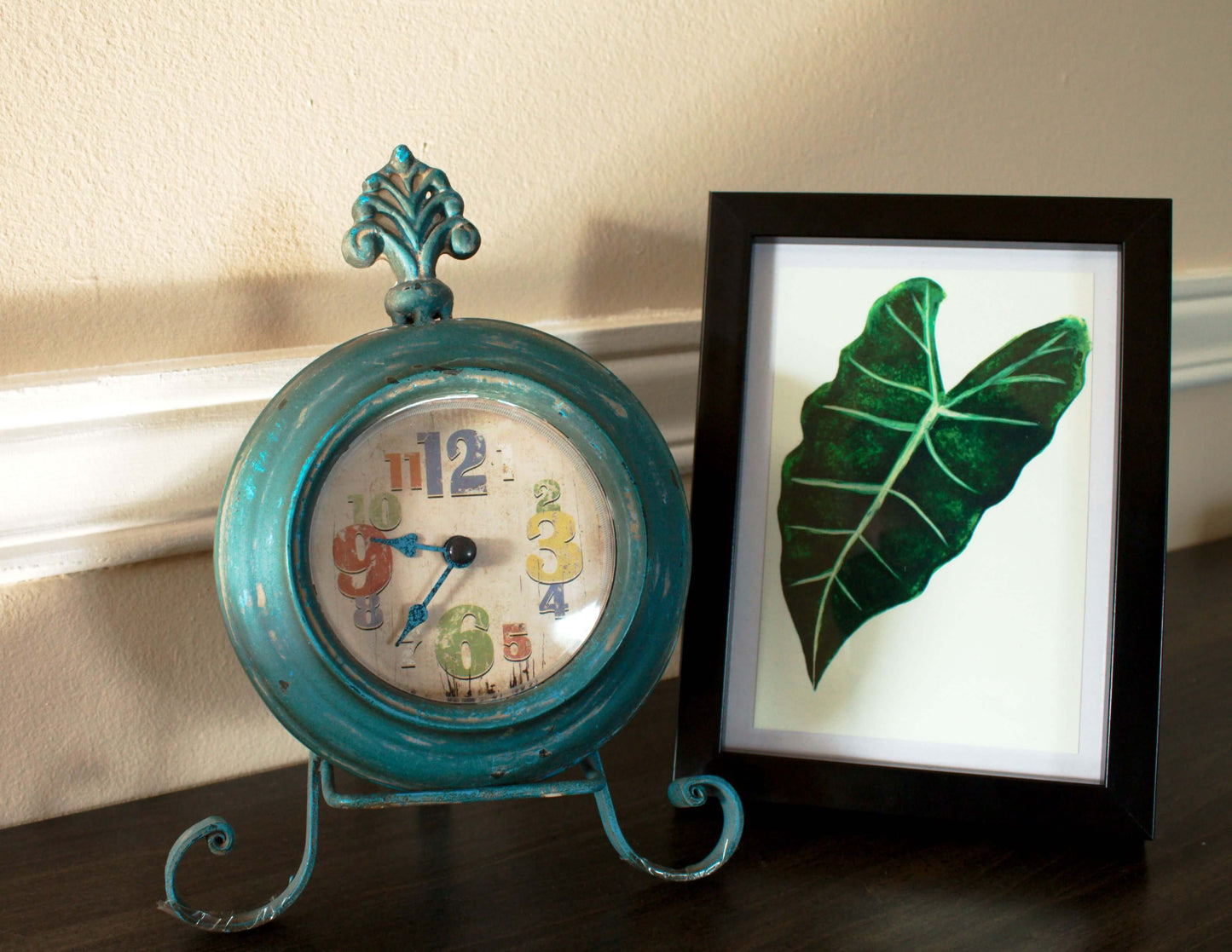 Alocasia Frydek