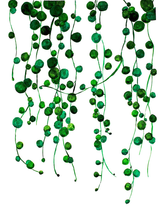 String of Pearls