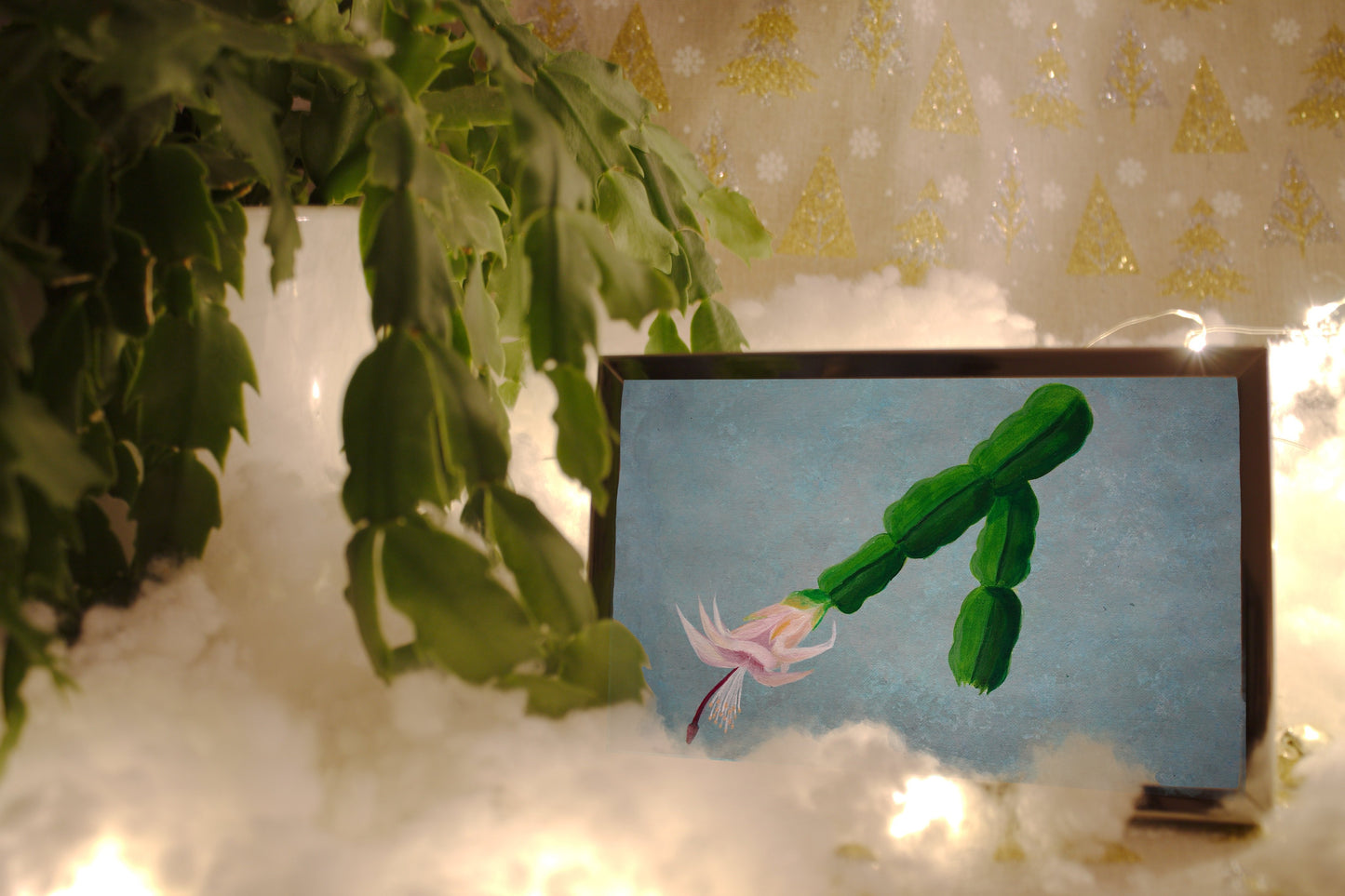 Christmas Cactus
