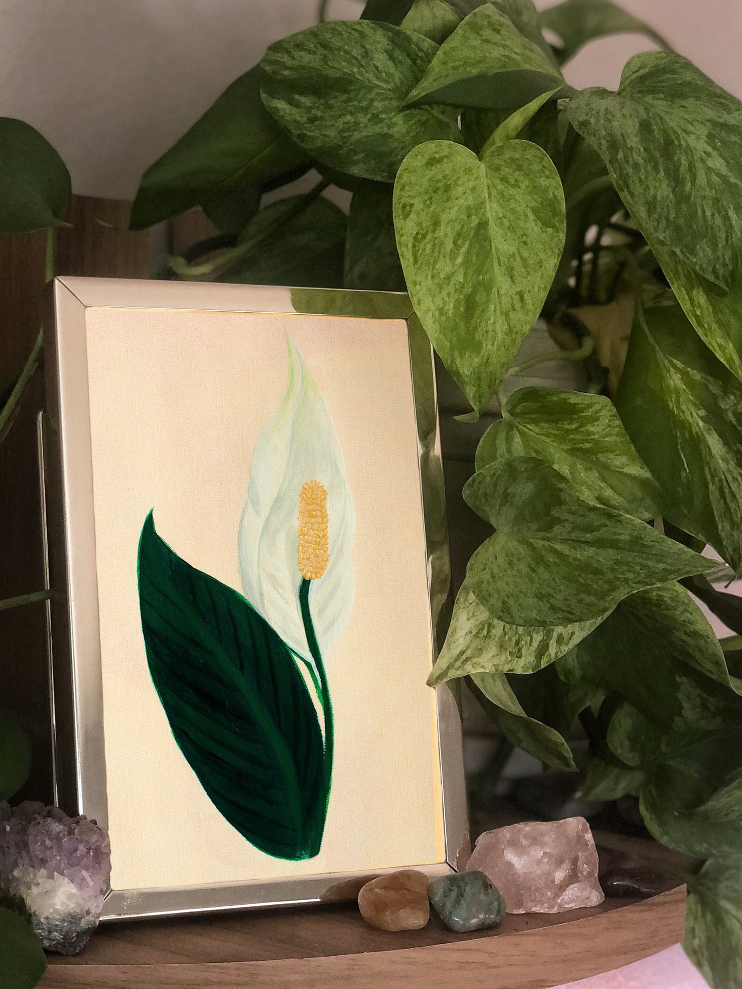 Peace Lily