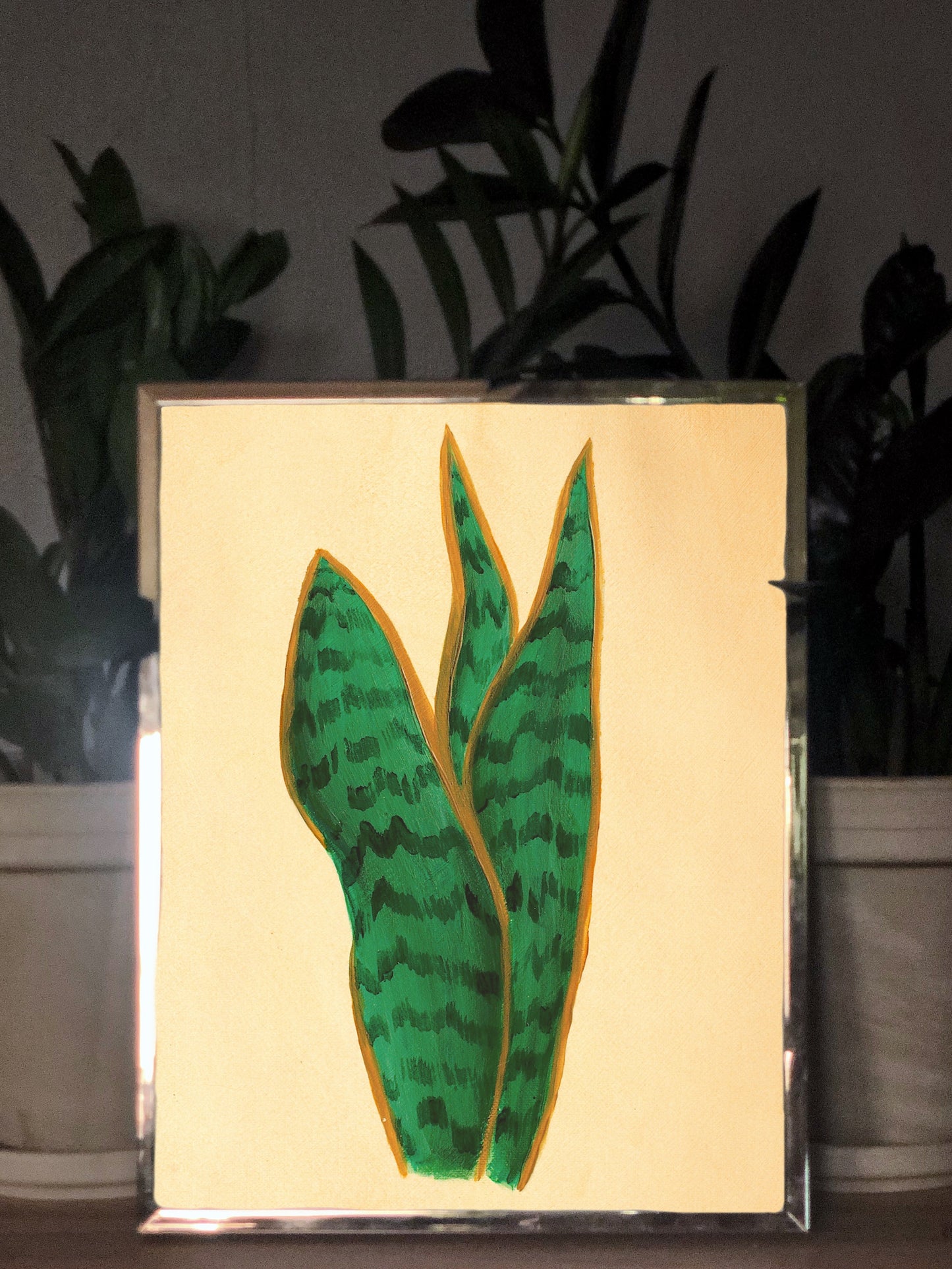 Snake Plant