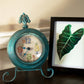 Alocasia Frydek